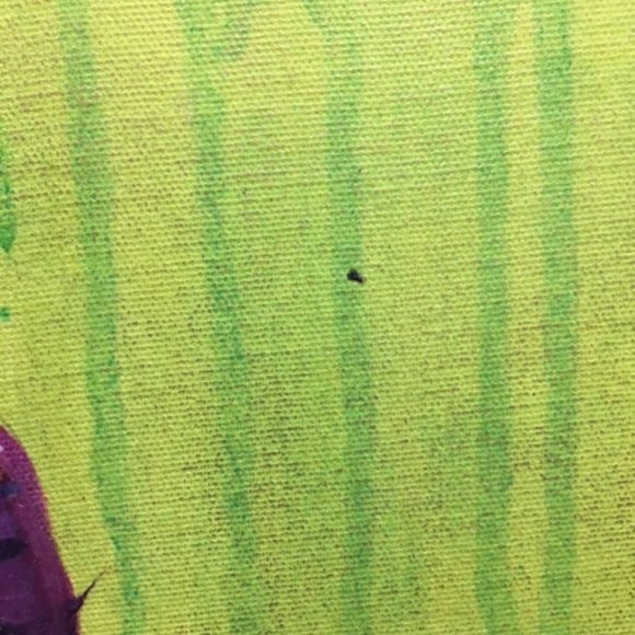 Hand Painted Giclee on Canvas Gouldian Finch Bird on Branch16x16" - Picture 7 of 8